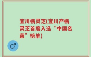 宜川杨灵芝(宜川产杨灵芝首度入选“中国名菌”榜单)