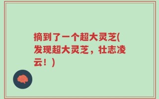 摘到了一个超大灵芝(发现超大灵芝，壮志凌云！)