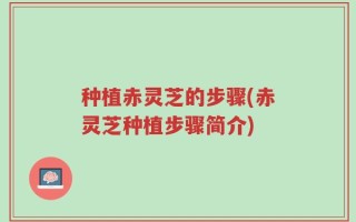 种植赤灵芝的步骤(赤灵芝种植步骤简介)