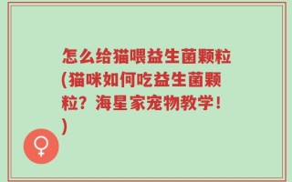 怎么给猫喂益生菌颗粒(猫咪如何吃益生菌颗粒？海星家宠物教学！)