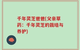 千年灵芝爸爸(父亲草药：千年灵芝的栽培与养护)