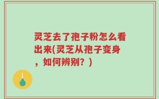 灵芝去了孢子粉怎么看出来(灵芝从孢子变身，如何辨别？)