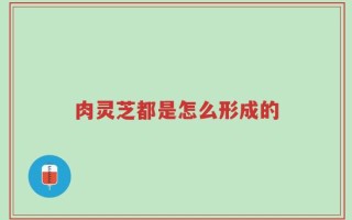 肉灵芝都是怎么形成的