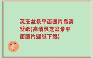 灵芝盆景平面图片高清壁纸(高清灵芝盆景平面图片壁纸下载)