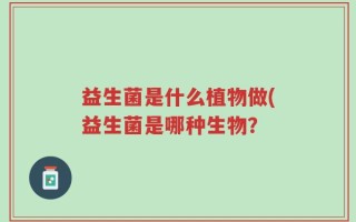 益生菌是什么植物做(益生菌是哪种生物？