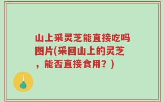 山上采灵芝能直接吃吗图片(采回山上的灵芝，能否直接食用？)