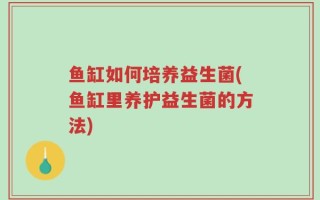 鱼缸如何培养益生菌(鱼缸里养护益生菌的方法)