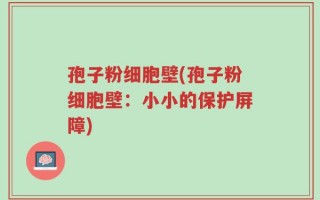 孢子粉细胞壁(孢子粉细胞壁：小小的保护屏障)
