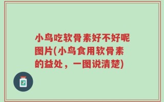 小鸟吃软骨素好不好呢图片(小鸟食用软骨素的益处，一图说清楚)