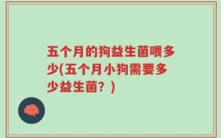 五个月的狗益生菌喂多少(五个月小狗需要多少益生菌？)