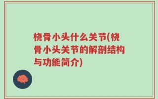 桡骨小头什么关节(桡骨小头关节的解剖结构与功能简介)