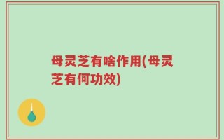 母灵芝有啥作用(母灵芝有何功效)