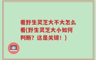 看野生灵芝大不大怎么看(野生灵芝大小如何判断？这是关键！)