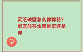 灵芝破壁怎么像棉花？灵芝放在水里是沉还是浮