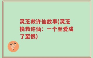 灵芝救许仙故事(灵芝挽救许仙：一个至爱成了至恨)