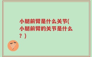 小腿前臂是什么关节(小腿前臂的关节是什么？)