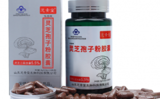 灵芝孢子粉怎么喝才好？如何发挥效果？