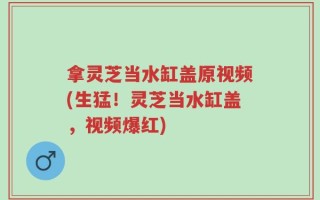 拿灵芝当水缸盖原视频(生猛！灵芝当水缸盖，视频爆红)