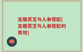 玉雕灵芝与人参搭配(玉雕灵芝与人参搭配的奇效)