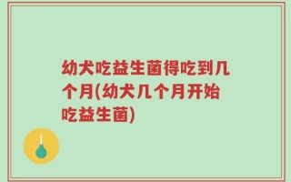 幼犬吃益生菌得吃到几个月(幼犬几个月开始吃益生菌)
