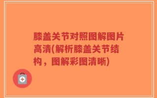 膝盖关节对照图解图片高清(解析膝盖关节结构，图解彩图清晰)