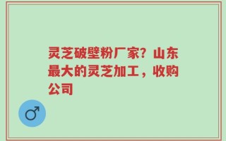 灵芝破壁粉厂家？山东最大的灵芝加工，收购公司