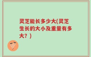 灵芝能长多少大(灵芝生长的大小及重量有多大？)