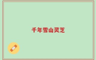 千年雪山灵芝