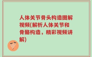 人体关节骨头构造图解视频(解析人体关节和骨骼构造，精彩视频讲解)