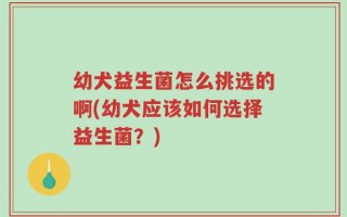 幼犬益生菌怎么挑选的啊(幼犬应该如何选择益生菌？)