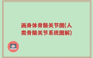 画身体骨骼关节图(人类骨骼关节系统图解)