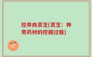 挖井肉灵芝(灵芝：神奇药材的挖掘过程)