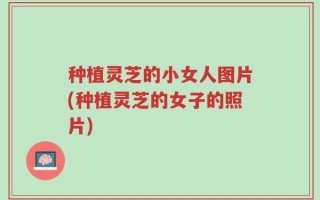 种植灵芝的小女人图片(种植灵芝的女子的照片)