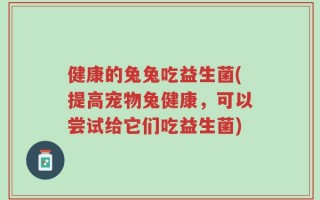 健康的兔兔吃益生菌(提高宠物兔健康，可以尝试给它们吃益生菌)