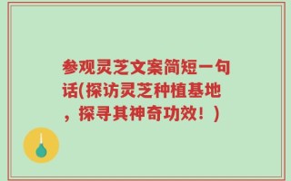 参观灵芝文案简短一句话(探访灵芝种植基地，探寻其神奇功效！)
