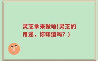 灵芝拿来做啥(灵芝的用途，你知道吗？)