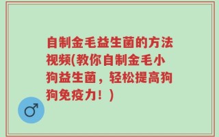 自制金毛益生菌的方法视频(教你自制金毛小狗益生菌，轻松提高狗狗免疫力！)