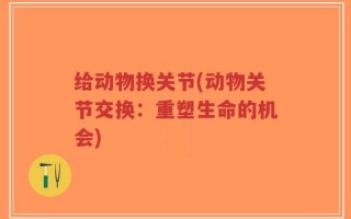 给动物换关节(动物关节交换：重塑生命的机会)