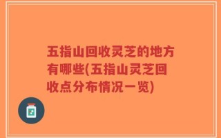 五指山回收灵芝的地方有哪些(五指山灵芝回收点分布情况一览)