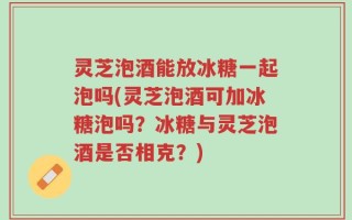 灵芝泡酒能放冰糖一起泡吗(灵芝泡酒可加冰糖泡吗？冰糖与灵芝泡酒是否相克？)