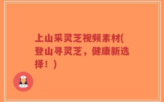 上山采灵芝视频素材(登山寻灵芝，健康新选择！)