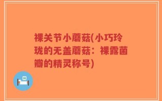 裸关节小蘑菇(小巧玲珑的无盖蘑菇：裸露菌瓣的精灵称号)
