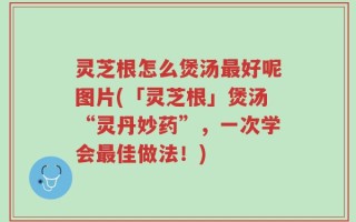 灵芝根怎么煲汤最好呢图片(「灵芝根」煲汤“灵丹妙药”，一次学会最佳做法！)