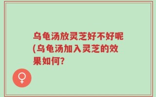 乌龟汤放灵芝好不好呢(乌龟汤加入灵芝的效果如何？