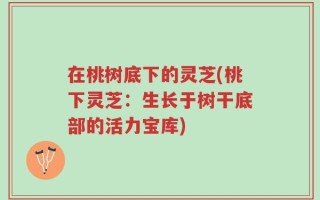 在桃树底下的灵芝(桃下灵芝：生长于树干底部的活力宝库)
