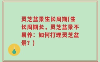 灵芝盆景生长周期(生长周期长，灵芝盆景不易养：如何打理灵芝盆景？)