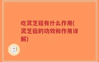 吃灵芝菇有什么作用(灵芝菇的功效和作用详解)