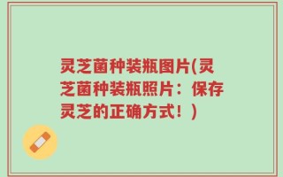 灵芝菌种装瓶图片(灵芝菌种装瓶照片：保存灵芝的正确方式！)