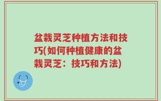 盆栽灵芝种植方法和技巧(如何种植健康的盆栽灵芝：技巧和方法)