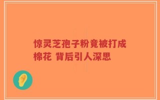 惊灵芝孢子粉竟被打成棉花 背后引人深思